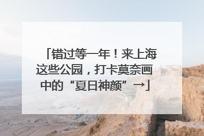 错过等一年！来上海这些公园，打卡莫奈画中的“夏日神颜”→